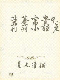 荣华富贵9小王莉莉小说免费阅读