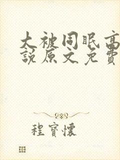 大被同眠高粱小说原文免费阅读