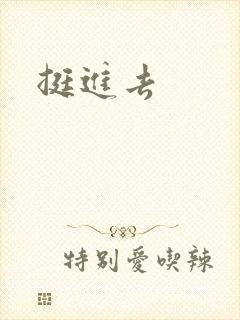 挺进去封面