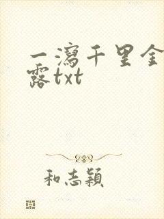 一泻千里金银花露txt