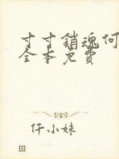 寸寸销魂何生祥全本免费封面