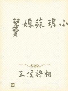 儿媳苏玥小说免费封面