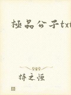 极品公子txt