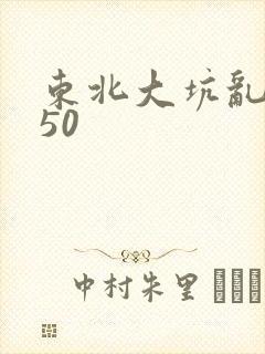 东北大坑乱1—50封面