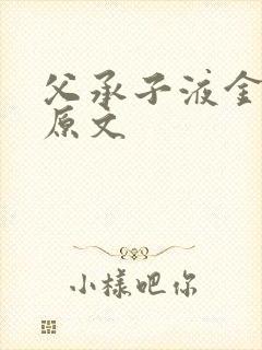 父承子液金银花原文封面