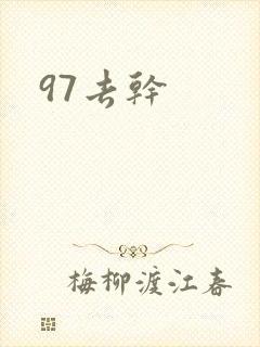 97去干封面