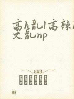 高h乱l高辣h文乱np封面