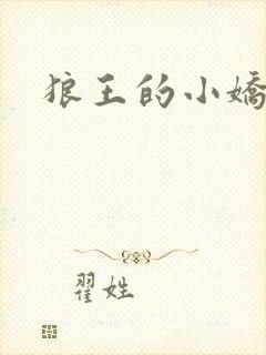 狼王的小娇妻