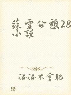 苏雪公憩28篇小说封面