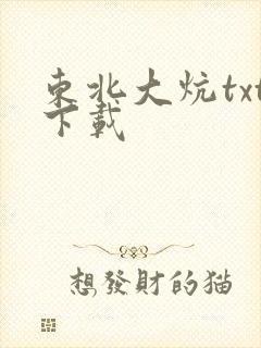 东北大炕txt下载