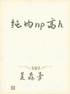 纯肉np高h