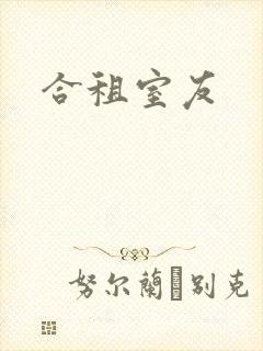合租室友