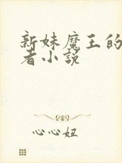 新妹魔王的契约者小说