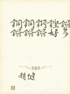 铜铜钢铿锵锵锵锵锵锵好多少阅读封面