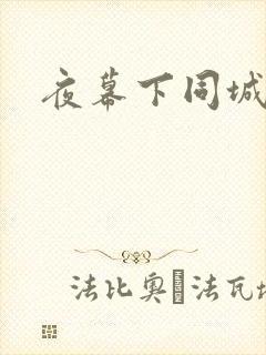 夜幕下同城网