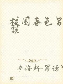 校园春色另类小说封面