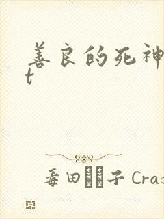 善良的死神txt封面