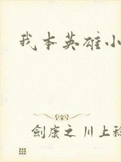 我本英雄小说