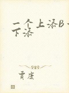 一个上添B一个下添