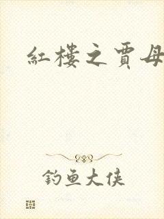 红楼之贾母