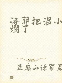 洛羿把温小辉做烂了封面