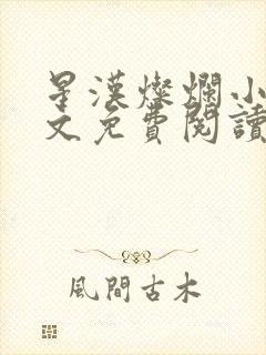 星汉灿烂小说全文免费阅读封面