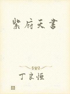 紫府天书