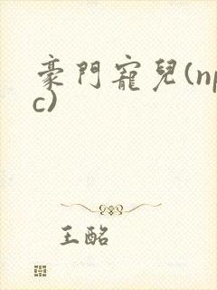 豪门宠儿(npc)
