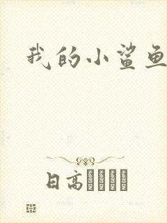我的小鲨鱼