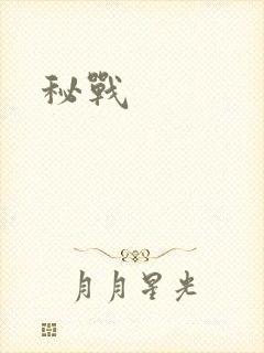 秘战封面