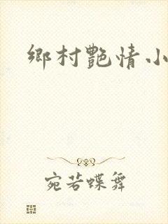 乡村艳情小说封面