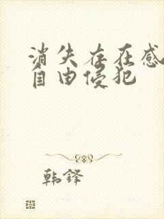 消失存在感消失自由侵犯封面