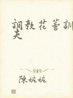 调教花蒂训诫从夫