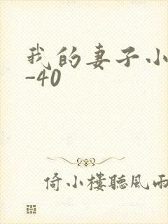 我的妻子小谨1-40