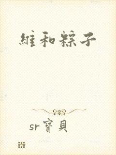 维和粽子