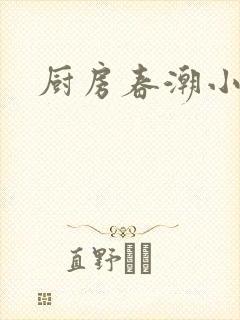 厨房春潮小说