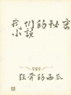 我们的秘密泰剧小说