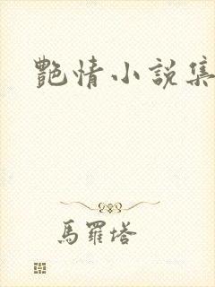 艳情小说集封面