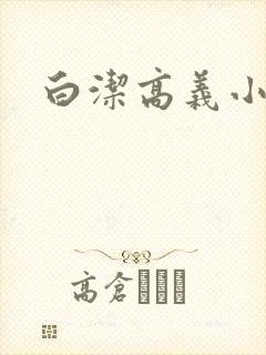 白洁高义小说