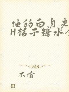 他的白月光HVH桔子糖水全文