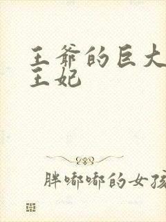 王爷的巨大进入王妃封面
