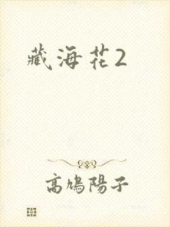 藏海花2