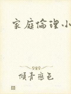 家庭伦理小说封面