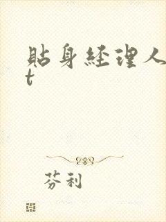 贴身经理人txt封面