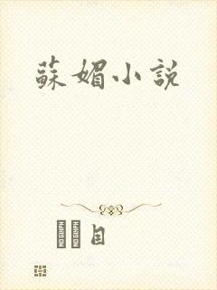 苏媚小说封面