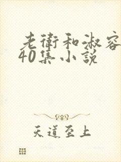 老卫和淑容1-40集小说