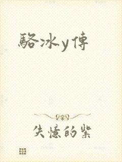 骆冰y传封面
