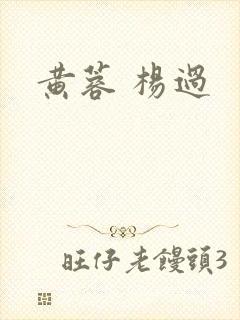 黄蓉 杨过