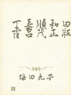 丁长顺和田晓兰霍吕茂正版封面