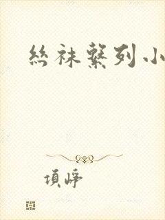 丝袜系列小说